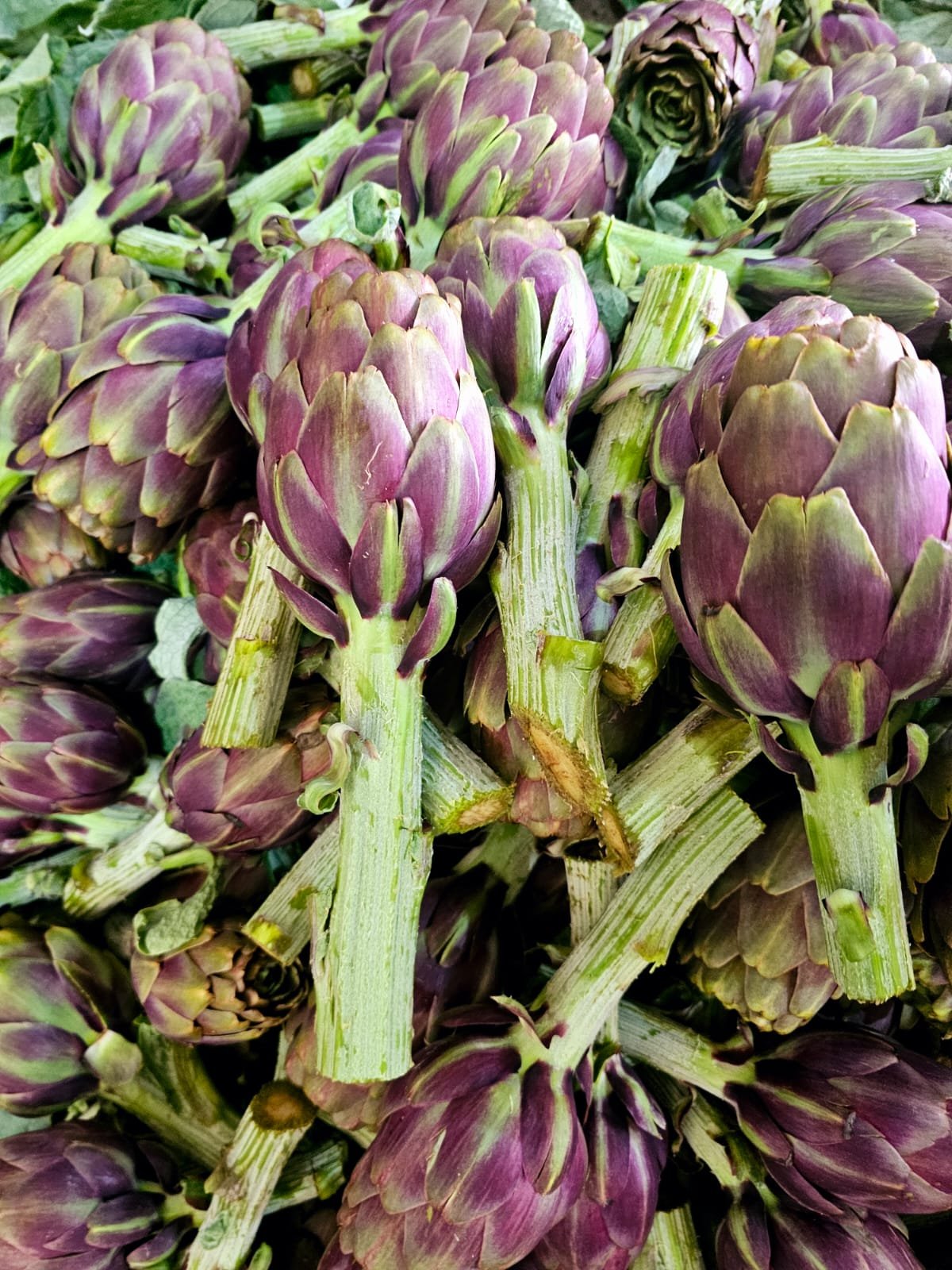 Fresh agricultural products
